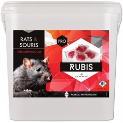 RUBIS GRAIN CONCASSE