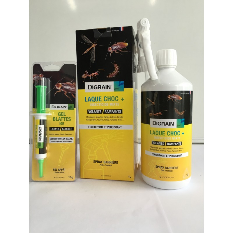 Gel insecticide anti blattes cafards KING seringue 10g