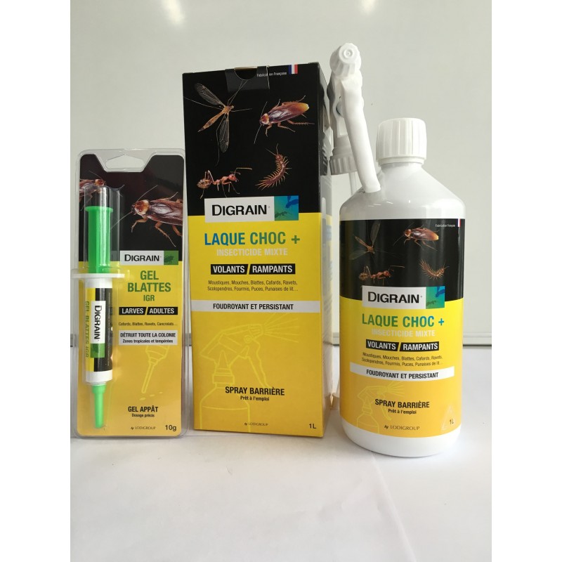 Gel anti cafards et blattes Noxiblatte