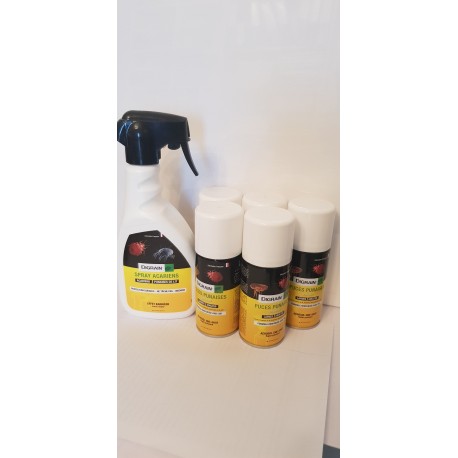 PACK ANTI PUNAISE DE LIT PHOBI INSECTFUM ET AEROSOL DIGRAIN PUCES ET  PUNAISES DE LIT ONE SHOT