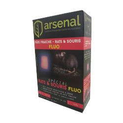 PÂTE FRAÎCHE FLUO RAT ET SOURIS ARSENAL