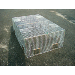 cage a pigeons pliable