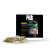 PHOBI FENOX dose contre les punaises de lit et les insectes rampant et Volants