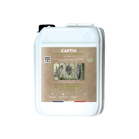 ORIGIN Captiv