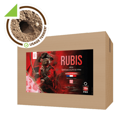 RUBIS Pasta 10kg – Appâts pâtes fraîches anti rats et souris