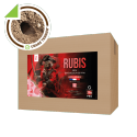 RUBIS Pasta 10kg – Appâts pâtes fraîches anti rats et souris