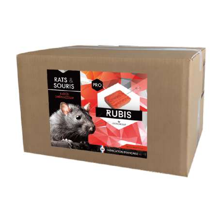 RUBIS Bloc 100g avec crochet 10kg – Appâts blocs spécial rats