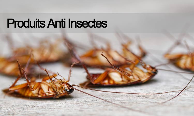 Produits Anti Insectes